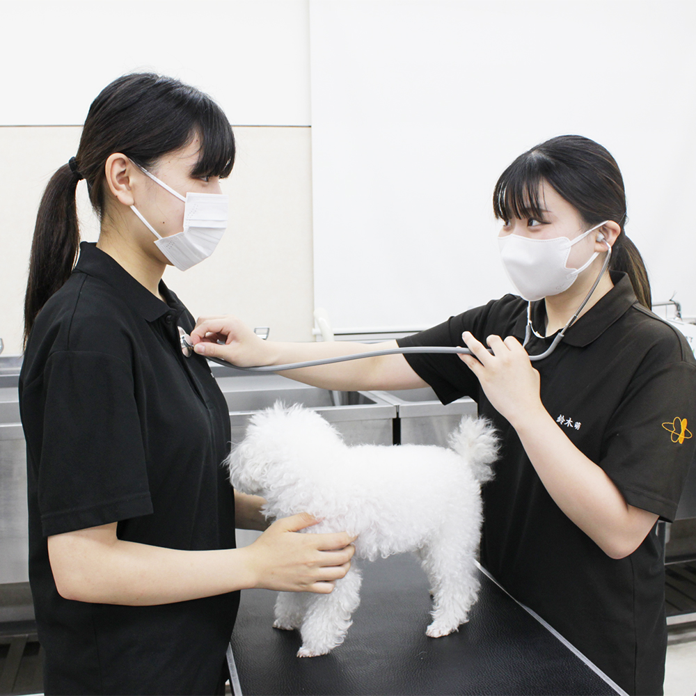 ２年生の動物看護実習